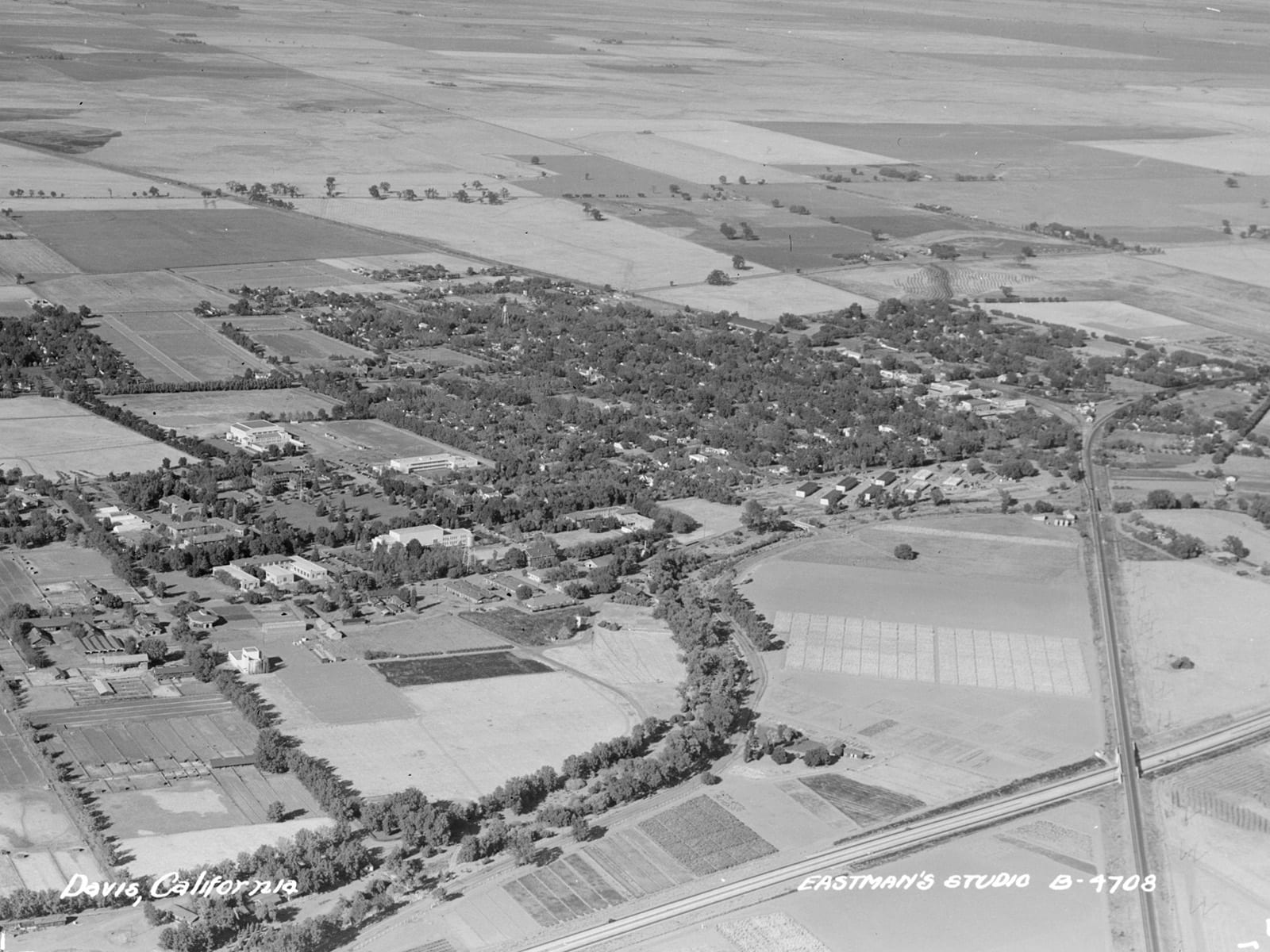 Aerial view of Davis, 1946